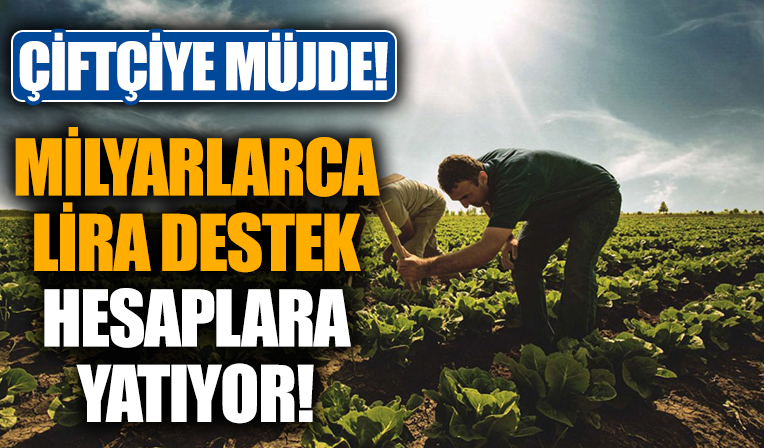Bakan Kirişçi açıkladı! Hesaplara yatıyor!
