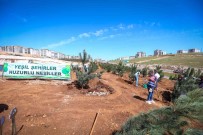 Büyüksehir 250 Karaçam Dikimi Yapti