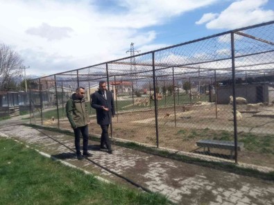 Erzincan'da Hayvan Bakimevi Denetlendi