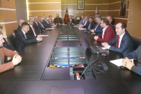 Yerli Ayçiçegi Tohumu Trakya'da Yeserecek