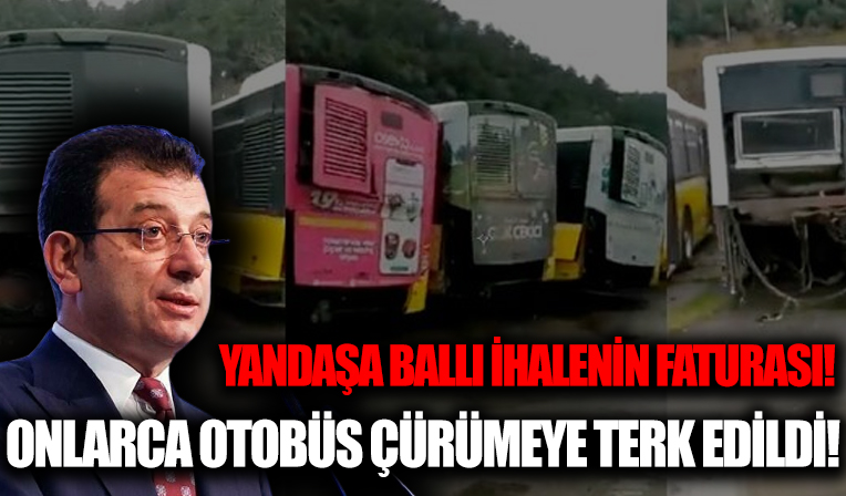 Bakım ihalesini CHP'li Özgür Karabat'a veren İETT'nin otobüs mezarlığı görüntülendi! Sosyal medyayı ayağa kaldıran video