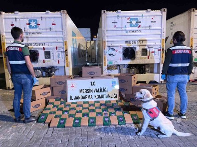 Mersin'de Muz Kolileri Içerisine Gizlenmis 258 Kilo Kokain Ele Geçirildi