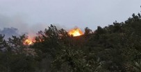 ORMAN YANGINI - Bodrum'da orman yangını: Bölge araç trafiğine kapatıldı, ekiplerin müdahalesi sürüyor