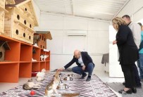 Mardin'de Sokak Hayvanlari Için Dogal Yasam Alani Haberi