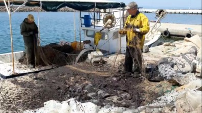 Saros Körfezi'nde Balikçilari Tedirgin Eden Görüntü