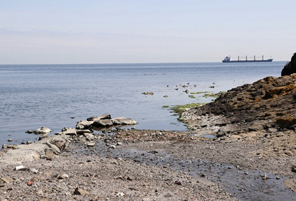 Sarıyer Kolağası Deresi 'bulaşıcı hastalık kaynağı': Mahalle sakinleri ve esnaf CHP'li İBB'ye tepkili