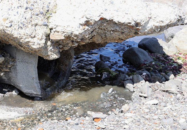 Sarıyer Kolağası Deresi 'bulaşıcı hastalık kaynağı': Mahalle sakinleri ve esnaf CHP'li İBB'ye tepkili