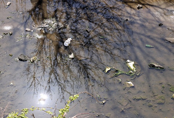 Sarıyer Kolağası Deresi 'bulaşıcı hastalık kaynağı': Mahalle sakinleri ve esnaf CHP'li İBB'ye tepkili