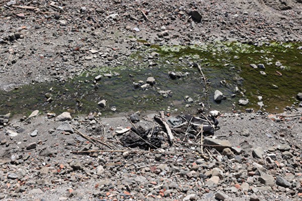 Sarıyer Kolağası Deresi 'bulaşıcı hastalık kaynağı': Mahalle sakinleri ve esnaf CHP'li İBB'ye tepkili