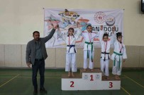 ANALIG Judo Yari Final Müsabakalari Erzincan'da Yapildi Haberi
