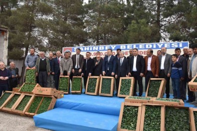 Çiftçilere Milyonlarca Fide Dagitildi