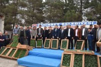 Çiftçilere Milyonlarca Fide Dagitildi