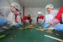 Efelerli Kadinlar 7 Ton Sevketibostan Isledi