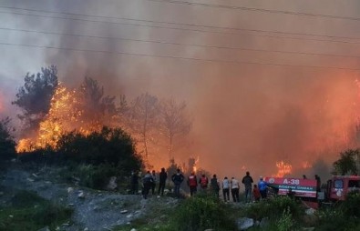Hatay'daki orman yangını söndürüldü! 2 kişi tutuklandı