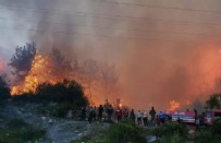 Hatay'daki orman yangını söndürüldü! 2 kişi tutuklandı