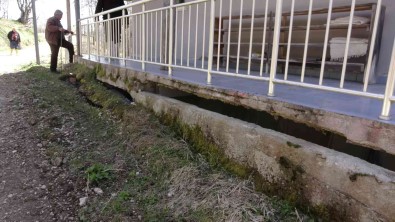 Sinop'ta 44 Yil Önce Bosaltma Karari Verilen Köyde Heyelan
