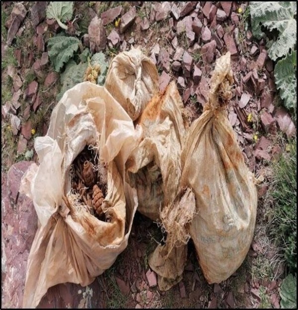 Pençe-Kilit Operasyonu'nda terör örgütüne ait çok sayıda mühimmat ele geçirildi