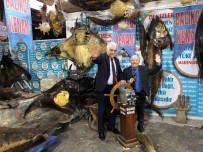 AK Parti Milletvekili Samil Ayrim, Mumya Baliklari Inceledi