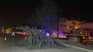 Lodosun Devirdigi Agaç Yolu Ulasima Kapatti