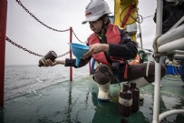 Marmara Denizi'nde oksijen alarmı: 25 metreye kadar düştü