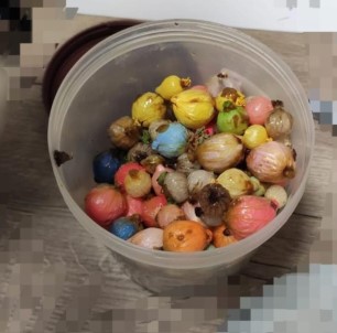 Otelde Ölü Bulunmustu, Uyusturucu Kuryesi Oldugu Ortaya Çikti