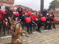 Sila Ve Jandarma Ekipleri Otizmli Çocuklari Sevindirdi