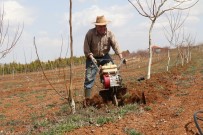 15 Dekarlik Meyve Bahçesinin Is Yükünü Tek Basina Sirtlaniyor