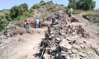 Altinova'da 50 Kisilik Arkeolog Ordusu Çalisacak Haberi