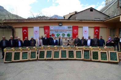 Gümüshane'de Üreticilere 150 Bin Sebze Fidesi Dagitildi