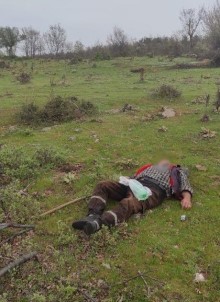 Manisa'da Vahset Açiklamasi Amcaoglunu Tüfekle Vurdu