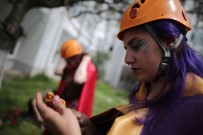 Pencereden Gelen Mutluluk