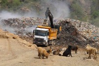 Semdinli'de Vahsi Çöp Depolama Alani Kaldiriliyor Haberi
