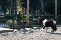 Tarsus Doga Parki, 23 Nisan'da Çocuklara Ücretsiz Olacak