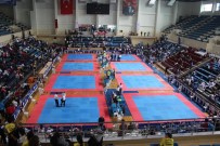 Türkiye Karate Sampiyonasi Sakarya'da Yapilacak