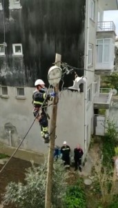 Ayagindan Elektrik Teline Takilan Martiya Kurtarma Operasyonu