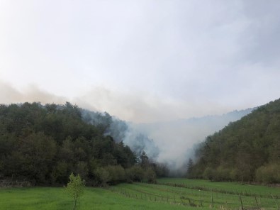 Akli Dengesi Bozuk Sahis Ormani Yakti, 1,9 Hektar Alan Zarar Gördü