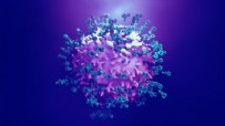 İşte 24 Nisan 2022 koronavirüs tablosu