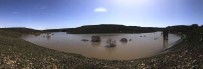 Kars'ta Agaçlar Baraj Suyu Altinda Kaldi Haberi