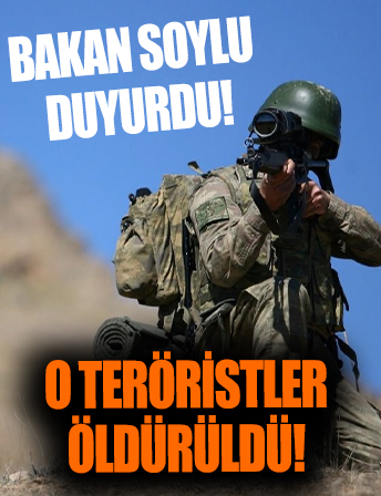 Bakan Soylu duyurdu! 3 terörist ölü ele geçirildi