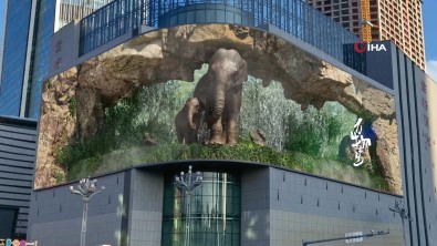 Çin'de Fillerin Üç Boyutlu Görüntüleri Ilgi Çekiyor
