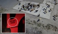İYİ PARTİ - İYİ Partili belediye köpekleri çöpe atmıştı!  Sungurlu Belediyesi'ne 40 bin 860 lira ceza  kesildi!