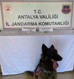 Yolcu Otobüsünde 3 Kilo 600 Gram Uyusturucu Ele Geçirildi