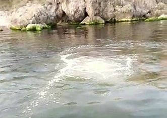 Heybeliada'da İSKİ'ye ait deniz deşarj hattı patladı! Lağım suyu deniz yüzeyine çıktı!