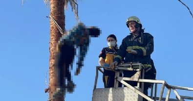 Ağaç tepesinde öldü! Budamak için özel aparatla çıktı rahatsızlanınca yardım gelmedi