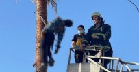 Ağaç tepesinde öldü! Budamak için özel aparatla çıktı rahatsızlanınca yardım gelmedi
