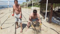 Balikesir'de Örnek Isletmeci, Plaj Kumlarini Eliyor