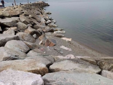 Bandirma'da Deniz Çekilmesi Artarak Devam Ediyor