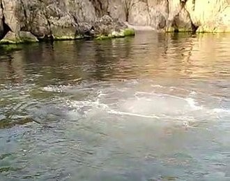 Heybeliada'da İSKİ'ye ait deniz deşarj hattı patladı! Lağım suyu deniz yüzeyine çıktı!