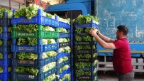 Tokat'ta Sebze Ve Meyve Fiyatlarinda Düsüs Haberi
