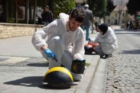 Zübeyde Hanim Caddesi Ugur Böcekleriyle Donatiliyor Haberi